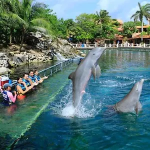  Apartment Increible Estudio En Puerto Aventuras, Con Alberca # 201 Mexico