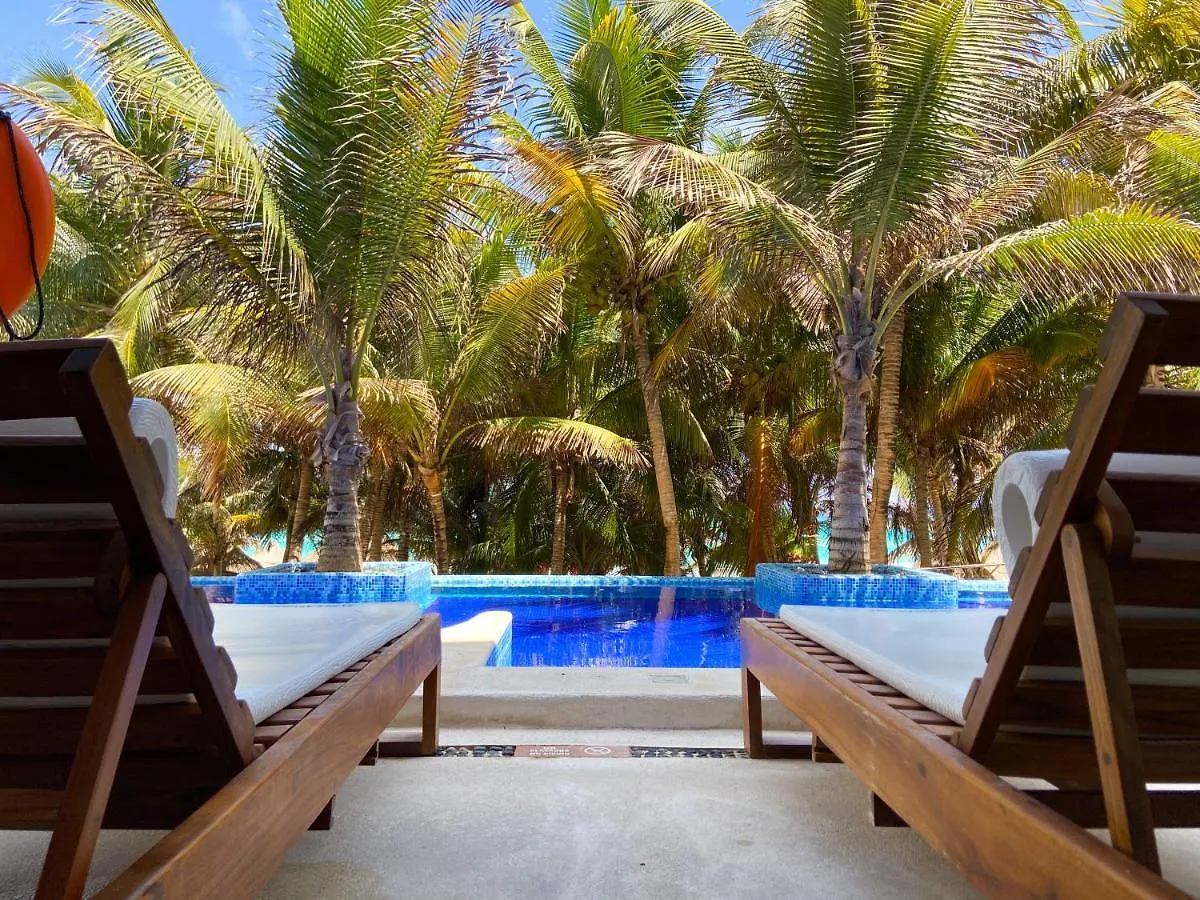Flamingo Cancun All Inclusive